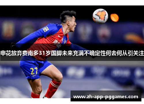 申花放弃费南多31岁国脚未来充满不确定性何去何从引关注