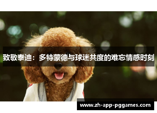 致敬泰迪：多特蒙德与球迷共度的难忘情感时刻