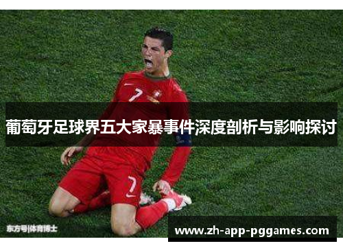 葡萄牙足球界五大家暴事件深度剖析与影响探讨