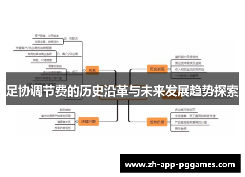 足协调节费的历史沿革与未来发展趋势探索