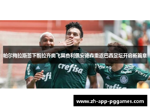 帕尔梅拉斯签下前拉齐奥飞翼费利佩安德森重返巴西足坛开启新篇章